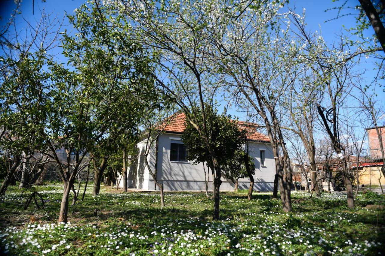 Nicolaus Hidden Gem Villa Шкодер Экстерьер фото