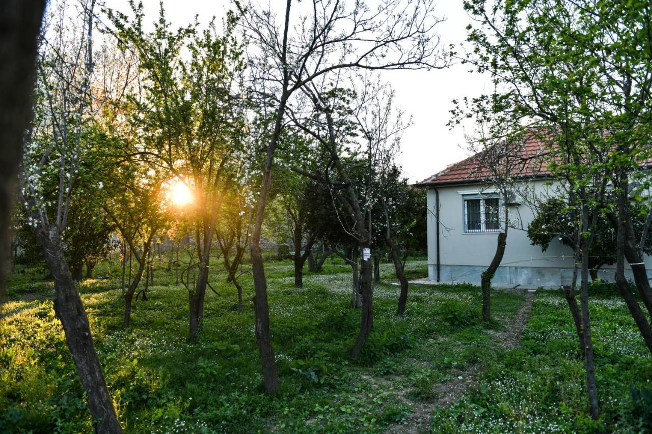 Nicolaus Hidden Gem Villa Шкодер Экстерьер фото