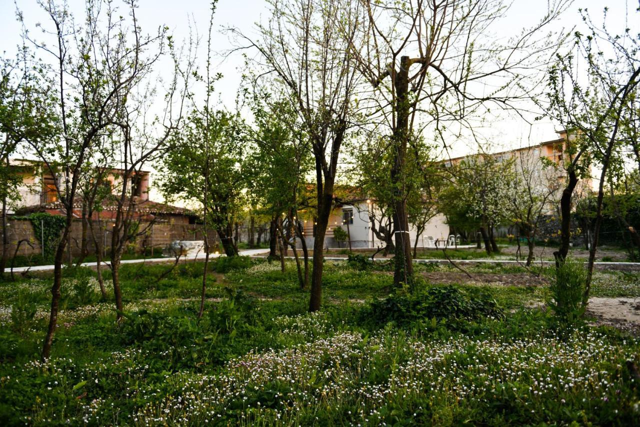 Nicolaus Hidden Gem Villa Шкодер Экстерьер фото