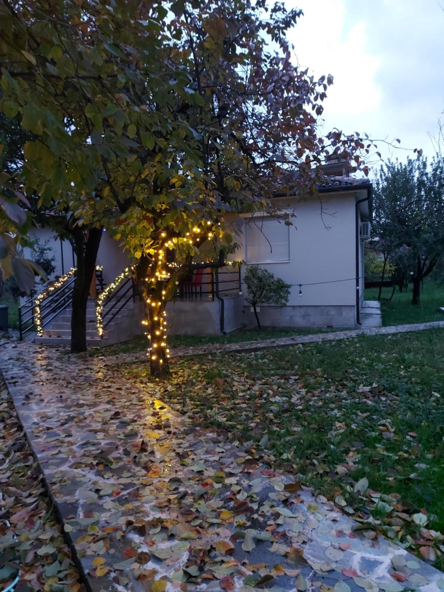 Nicolaus Hidden Gem Villa Шкодер Экстерьер фото