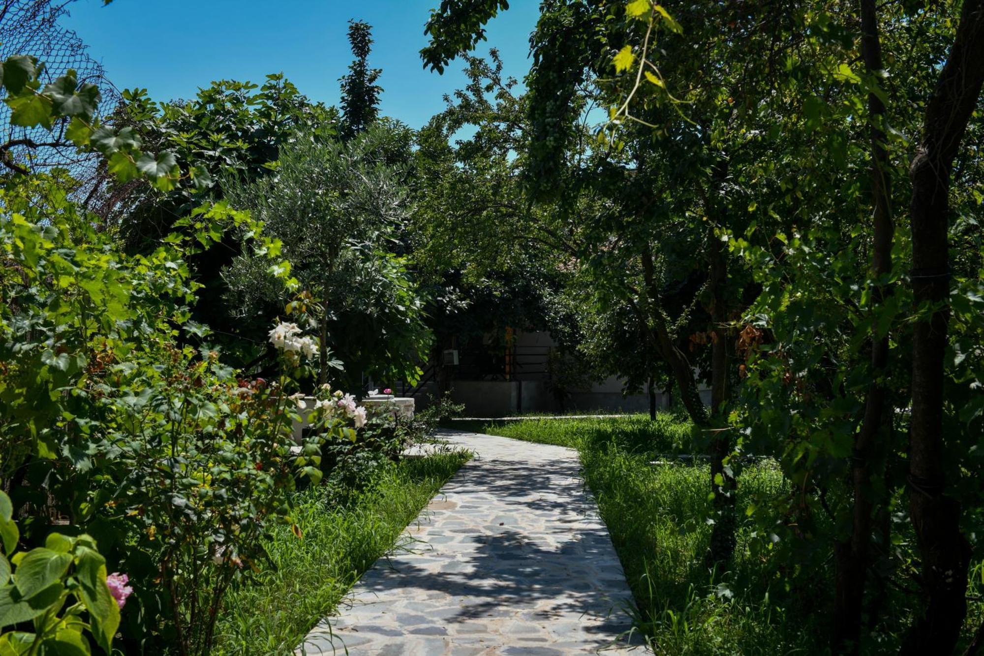 Nicolaus Hidden Gem Villa Шкодер Экстерьер фото