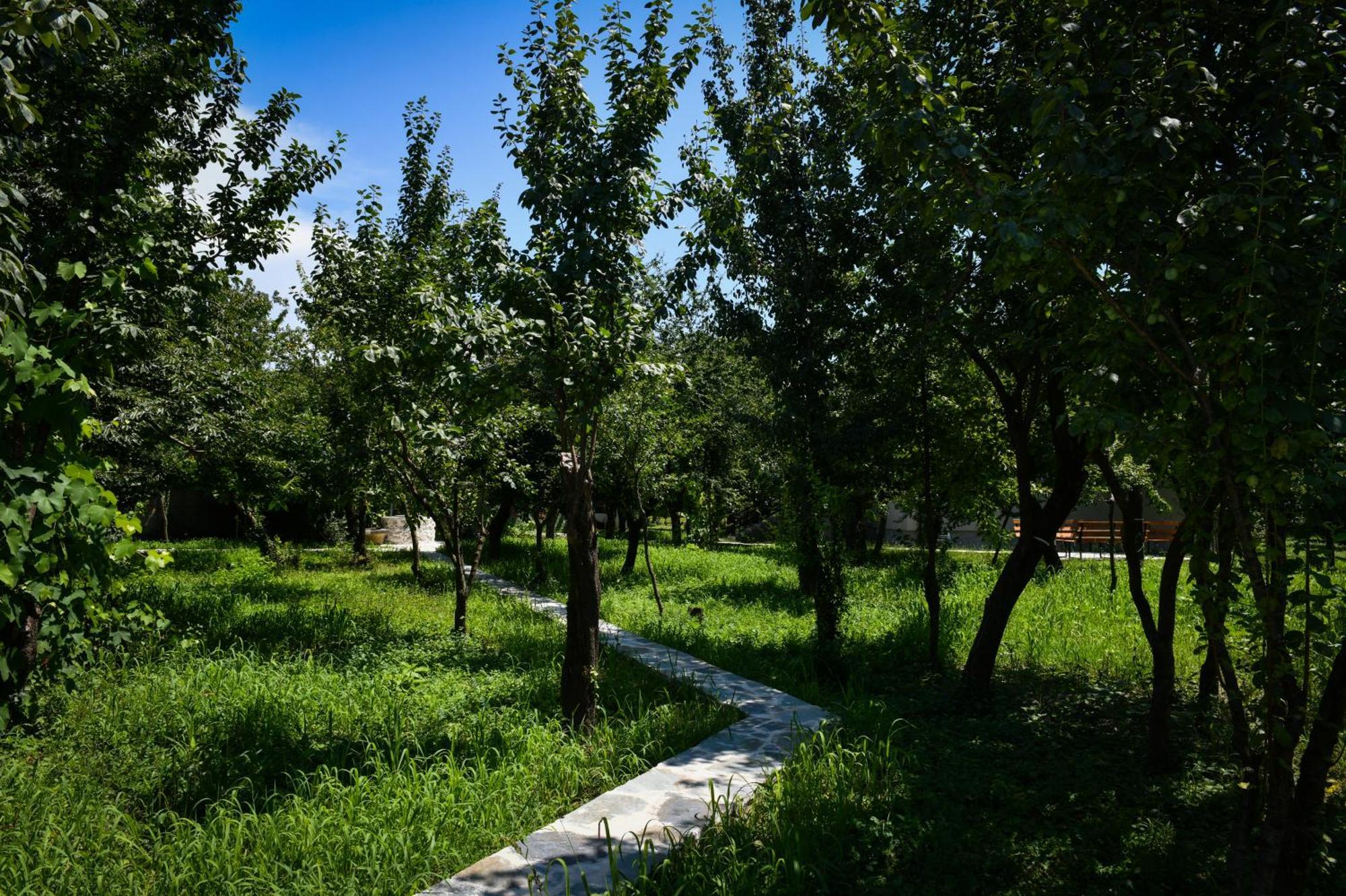 Nicolaus Hidden Gem Villa Шкодер Экстерьер фото