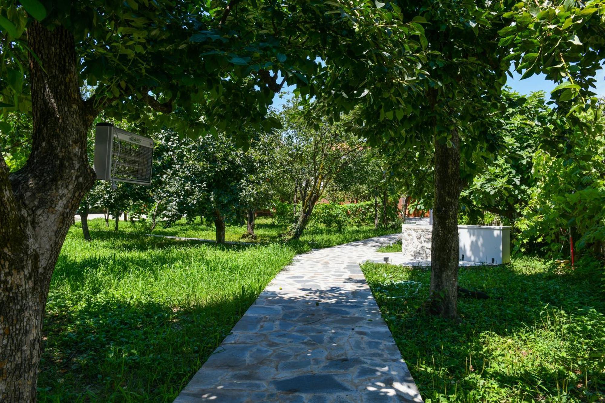 Nicolaus Hidden Gem Villa Шкодер Экстерьер фото